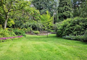 Optimiser l'expérience du jardin à Clefmont